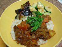 curry with vegetable
